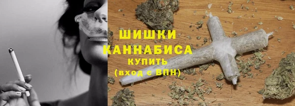Альфа ПВП Магас