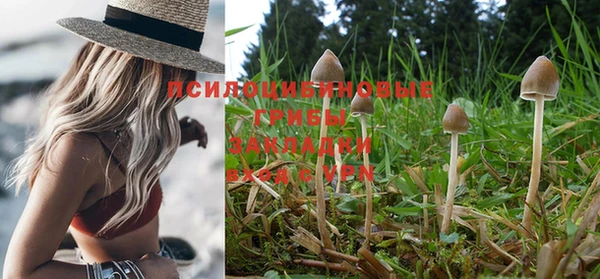 хмурый Майский