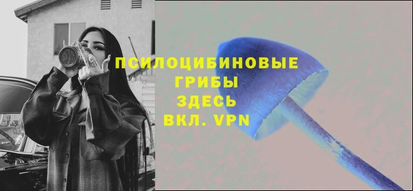 Альфа ПВП Магас